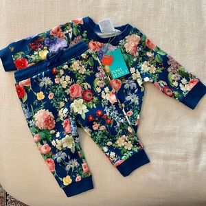Posh Peanut matching sweatshirt and sweatpants set. NWT 6-12 months